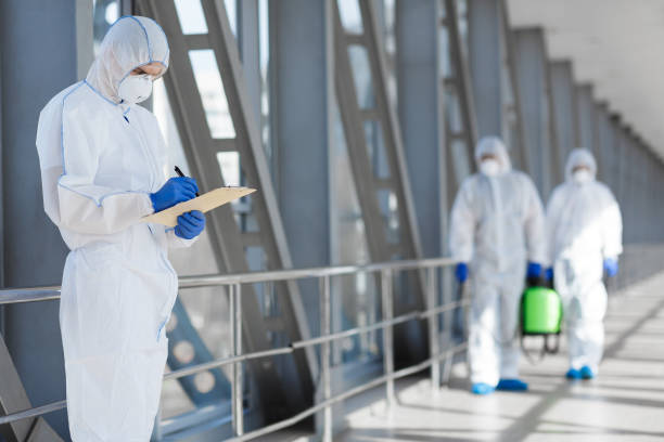 Best Mold Damage Restoration  in Fort Thompson, SD