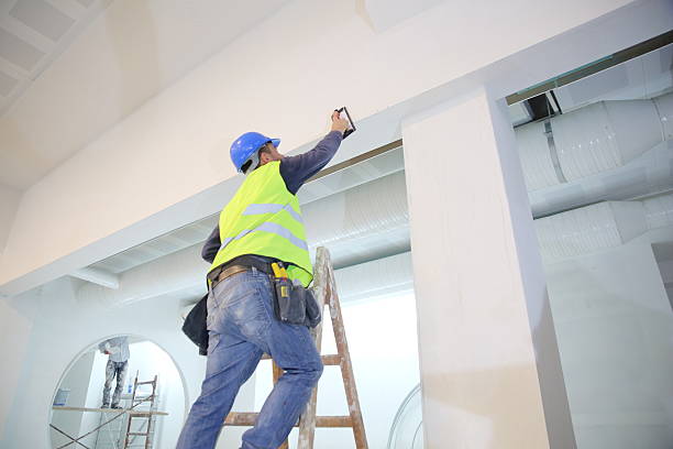 Best Attic Mold Removal  in Fort Thompson, SD